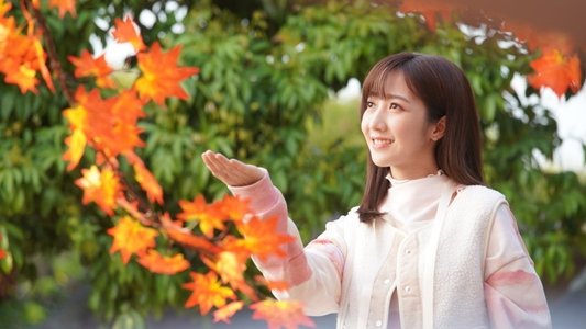 十月初五的月光
