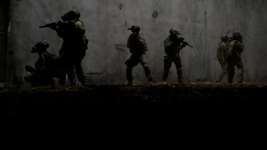 Zero Dark Thirty