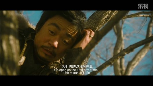 Hello！树先生