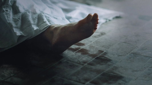 Forensic Factor: A New Era