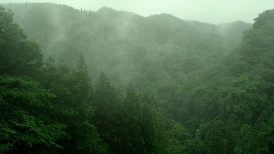 リトル・フォレスト 夏・秋