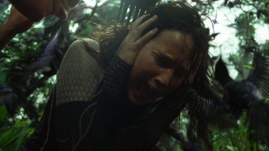 The Hunger Games: Catching Fire