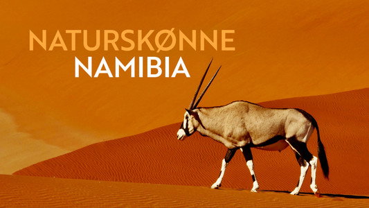 Namibias Naturwunder