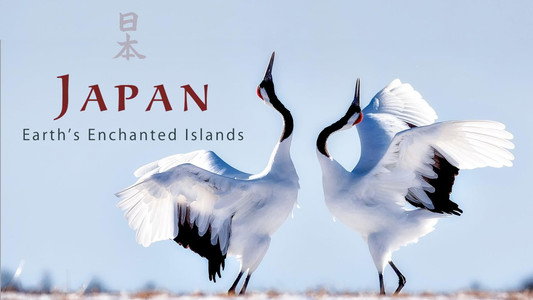 Japan: Earth's Enchanted Islands