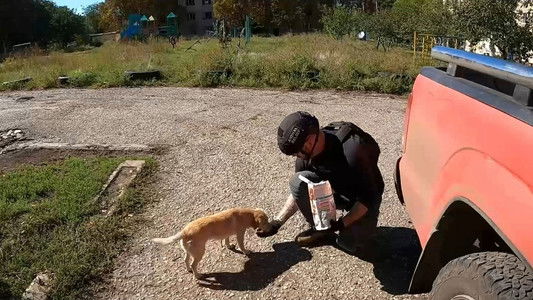 犬と戦争: ウクライナで私が見たこと