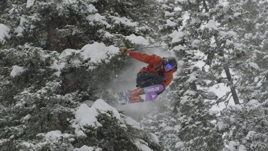 Winterland