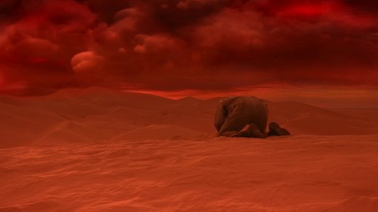 Beached