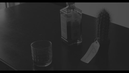 The Cactus