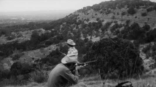 The Whole Shootin' Match