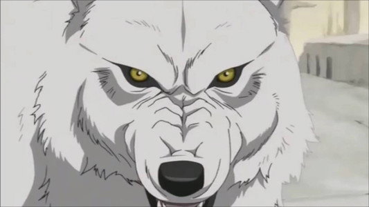 WOLF'S RAIN