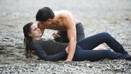 The Twilight Saga: New Moon