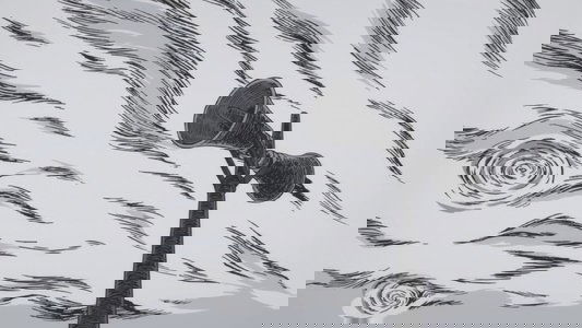 Uzumaki