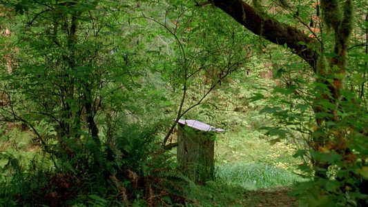 Humboldt County