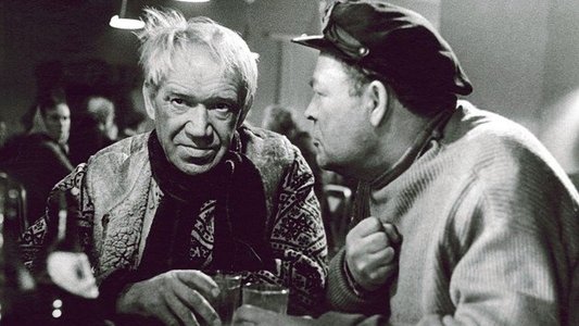 Kirjad Sõgedate külast