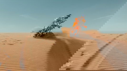 Dakar: Race Against the Desert