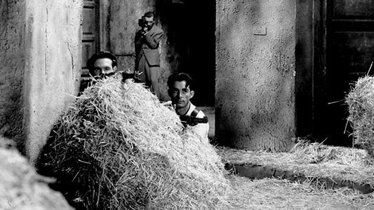 Vida en sombras