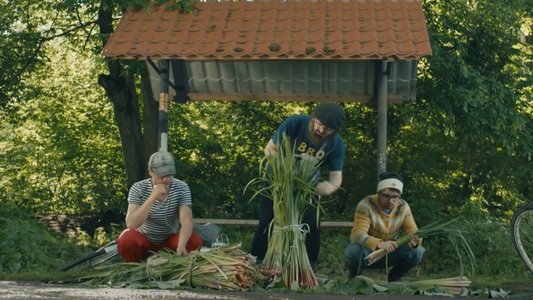 DZIDZIO: Павук