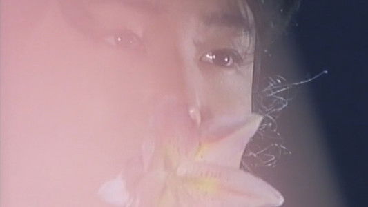 くノ一忍法帖 IV 忠臣蔵秘抄