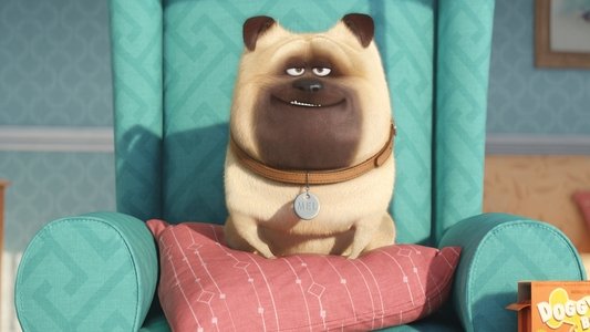 The Secret Life of Pets