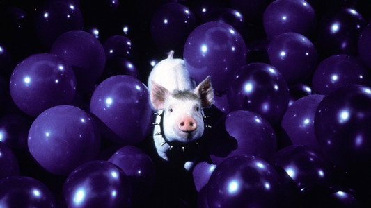 Babe: Pig in the City