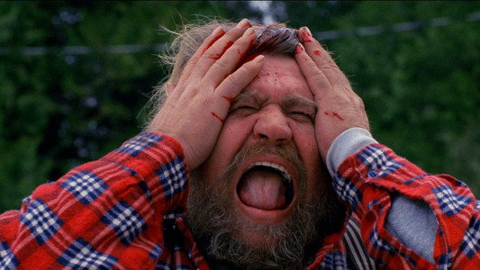 The American Scream