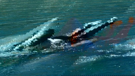 Shark Attack 2