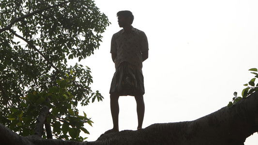 பைசன் காளமாடன்