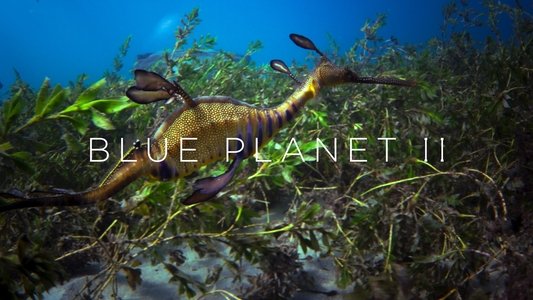 Blue Planet II
