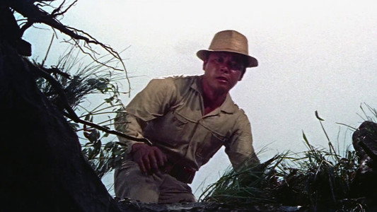 散弾銃の男