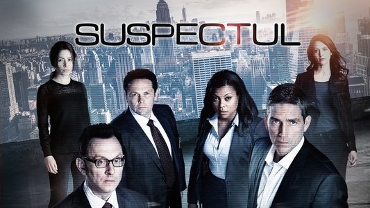 Person of Interest