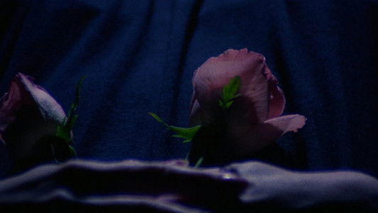 Paura nella città dei morti viventi