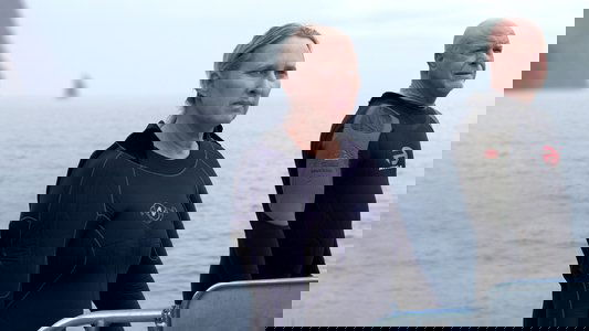 Counting Jaws