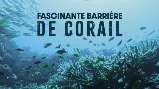 Great Barrier Reef with David Attenborough