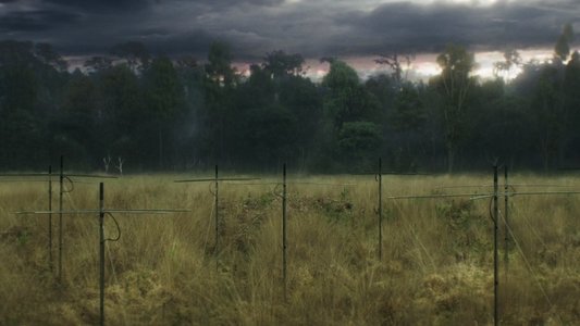 Annihilation