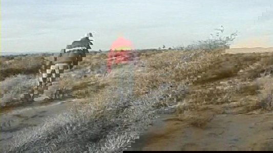 The Wicksboro Incident