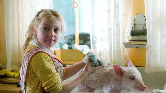 Charlotte's Web