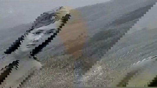 英雄虎胆