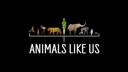 Animals Like Us
