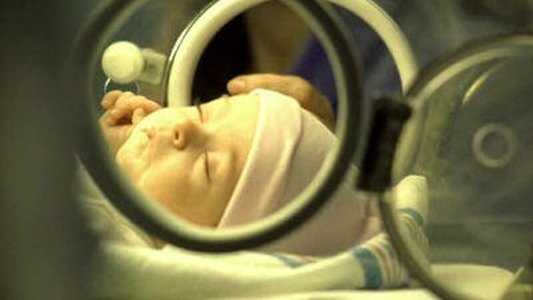 Thumbnail image for Survivor