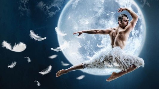Matthew Bourne's Swan Lake