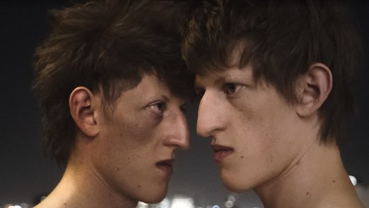 La timidezza delle chiome