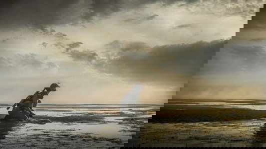 Tides
