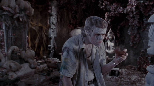 Ace Ventura: When Nature Calls