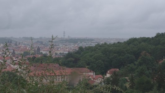 Oheň umělce