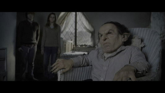 Harry Potter and the Deathly Hallows: Part 2