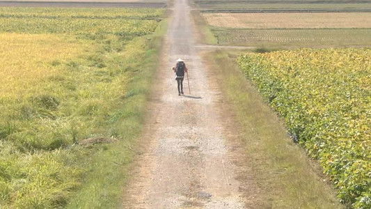 Aruku Aruku Aruku ~Shikoku Henro-michi~ SP