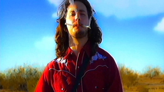 Plastic Cowboy