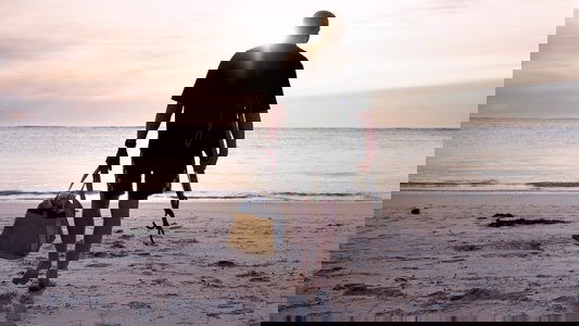When Sharks Attack 360