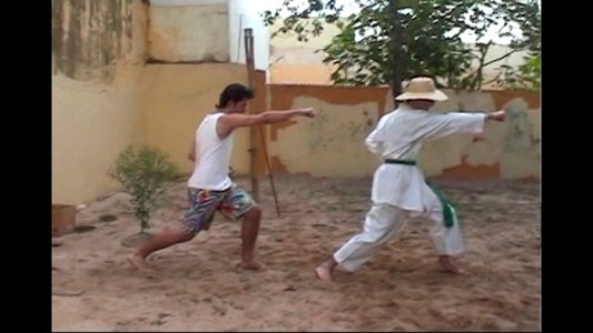 A Vingança do Ninja