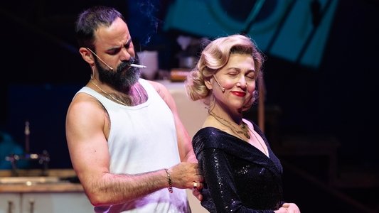 חשמלית ושמה תשוקה: הקאמרי